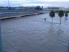 dsc00481-0004