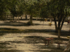 floodmty-007-0003