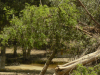 floodmty-009-0005