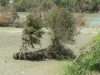 floodmty-021-0017