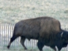 colorado_sc-073