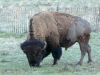 colorado_sc-078