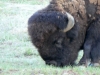 colorado_sc-079