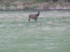 colorado_sc-082