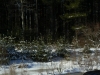 snownortheastjanuaryxmas-115