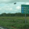 P1000838.JPG